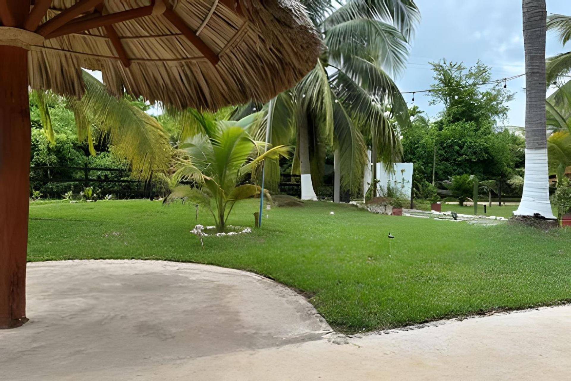 Casa Las Palmas Playa La Saladita Ζιουατανέχο Εξωτερικό φωτογραφία