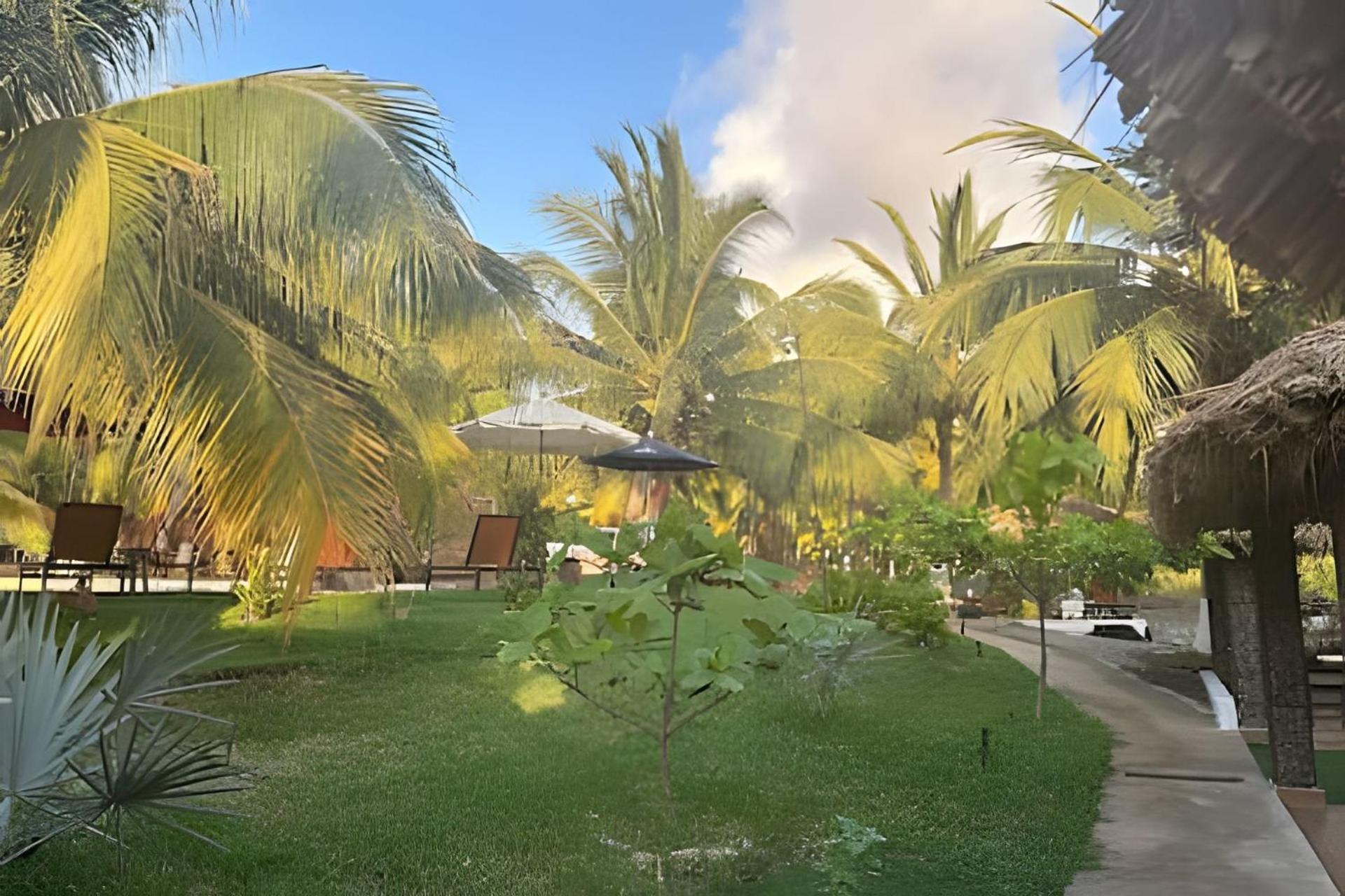 Casa Las Palmas Playa La Saladita Ζιουατανέχο Εξωτερικό φωτογραφία